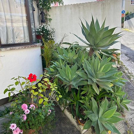 Bela Vista Apartamento Estoril Cascais Kültér fotó