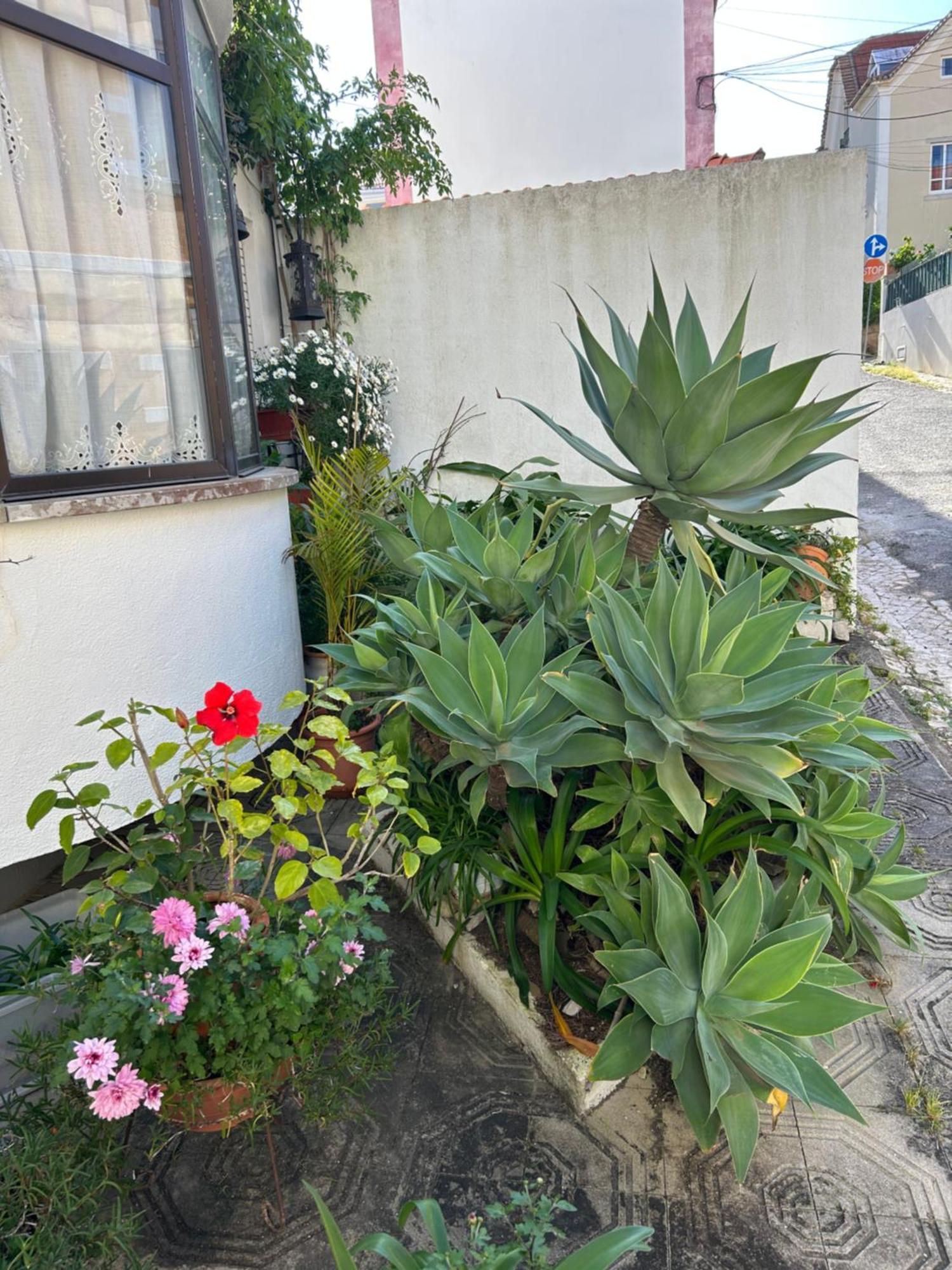Bela Vista Apartamento Estoril Cascais Kültér fotó